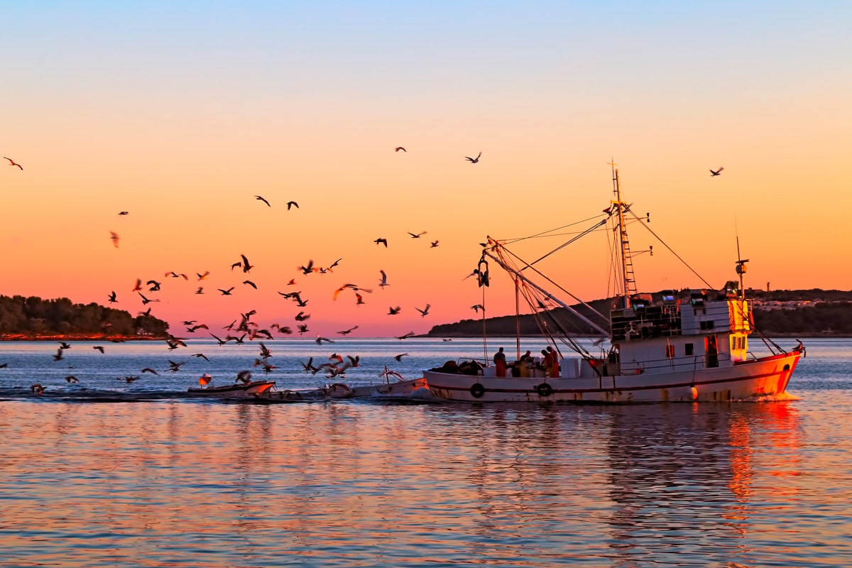 Fishing Boat 881737070 CL
