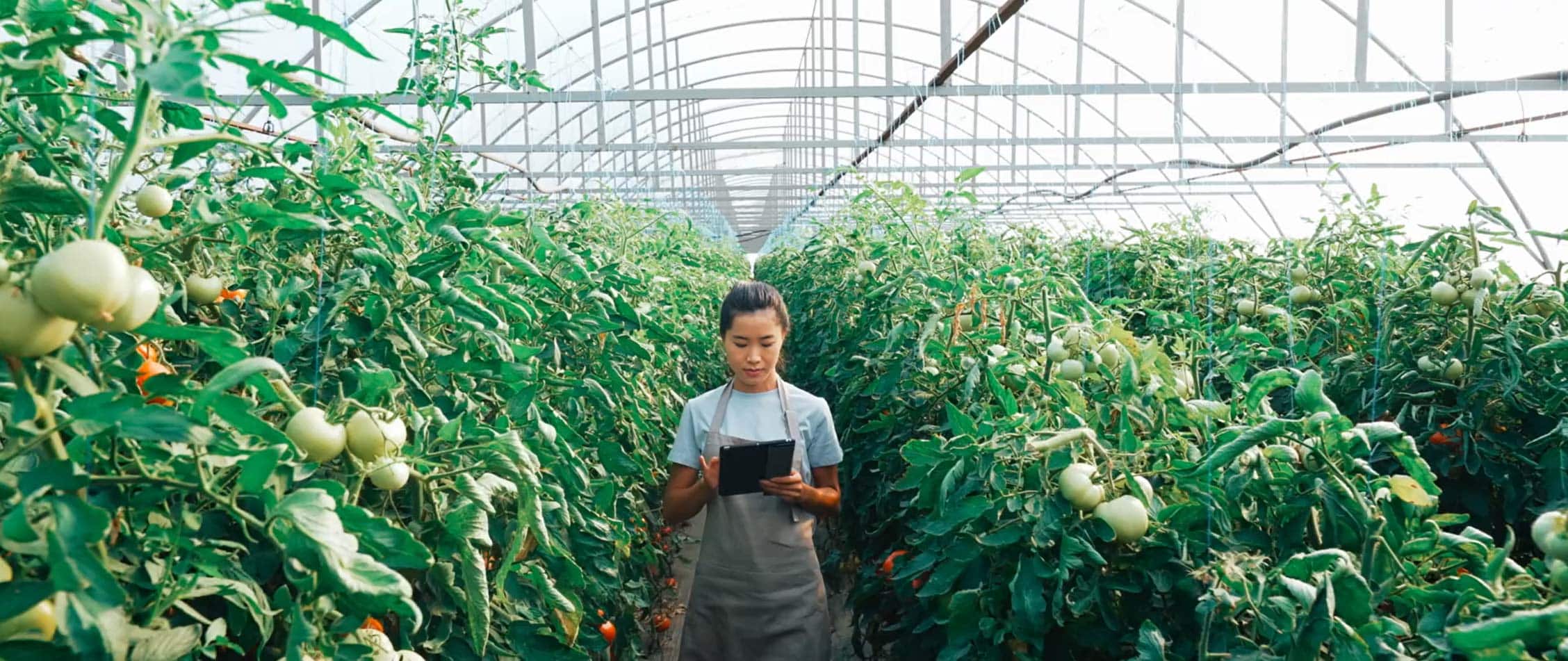 woman walking through vegetable garden