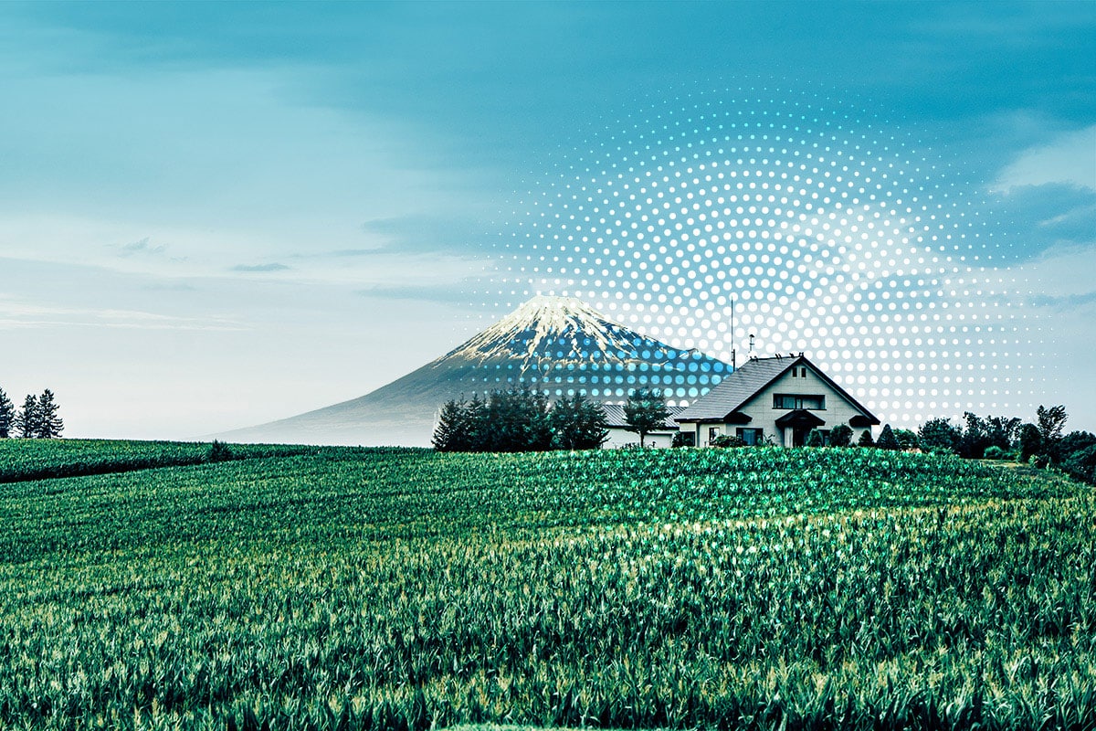 Japan Mountain Farm